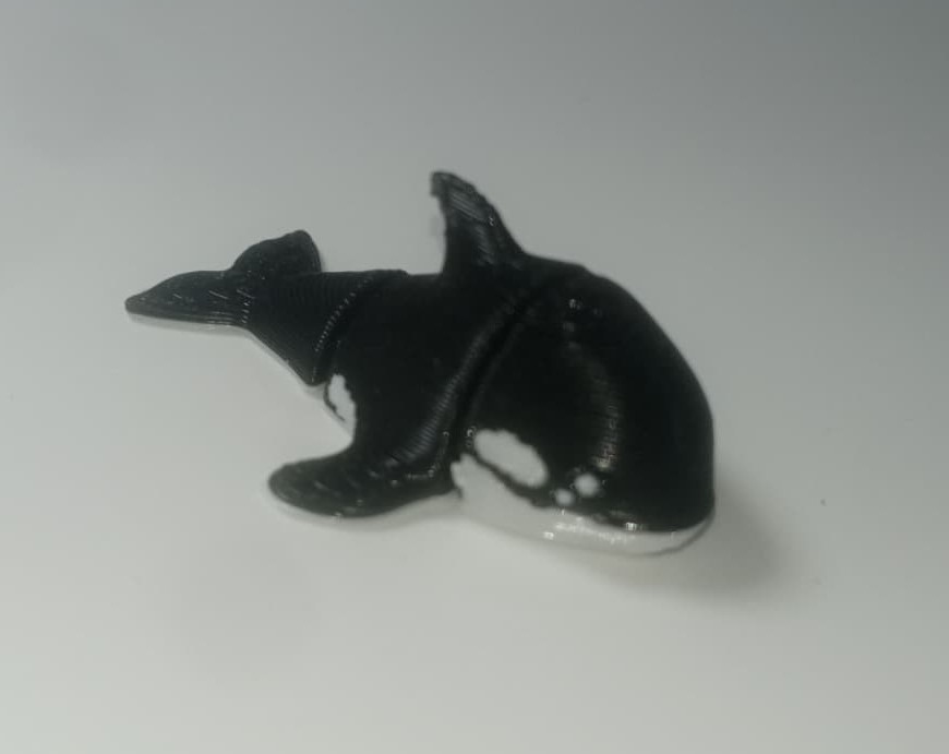 Orca
