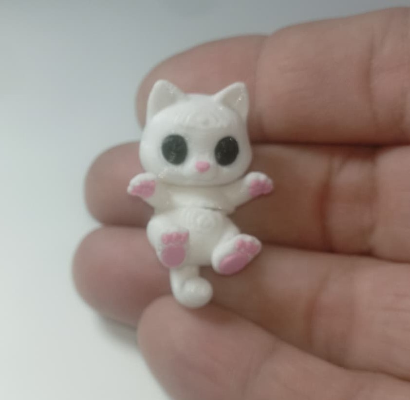 Gatito mimoso