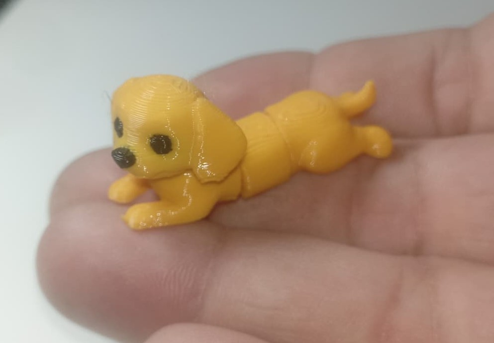 Perrito acostado